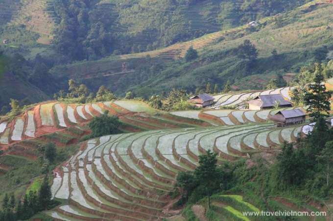 Ha Giang: Terrace fields in water-pouring season