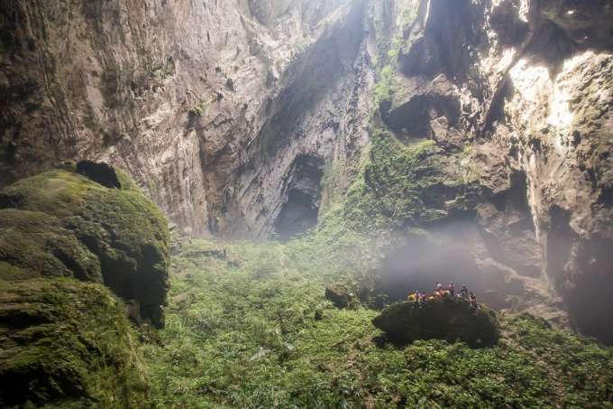 Flora in Son Doong cave