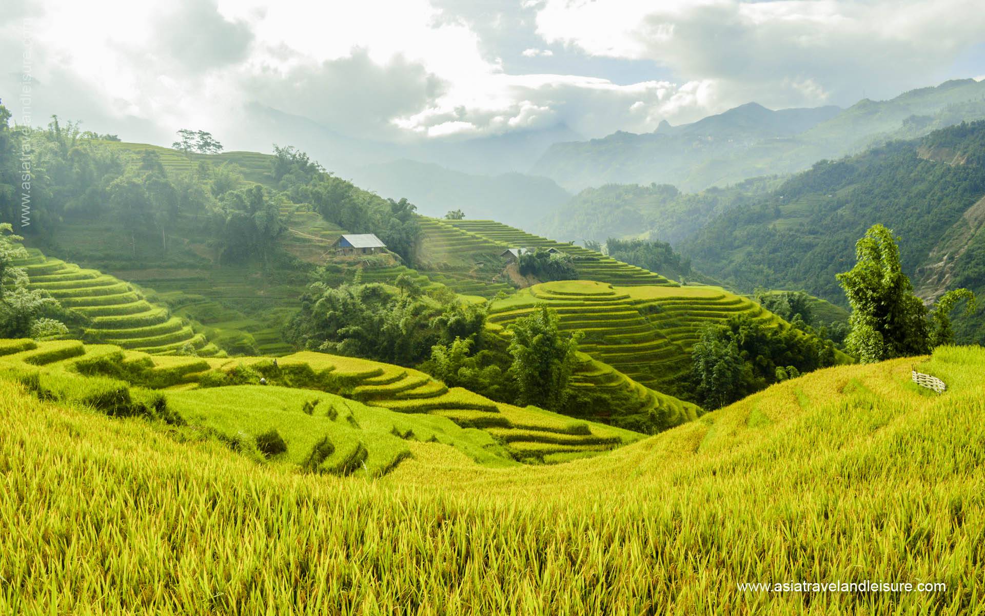 Sapa in the Green Season e9439