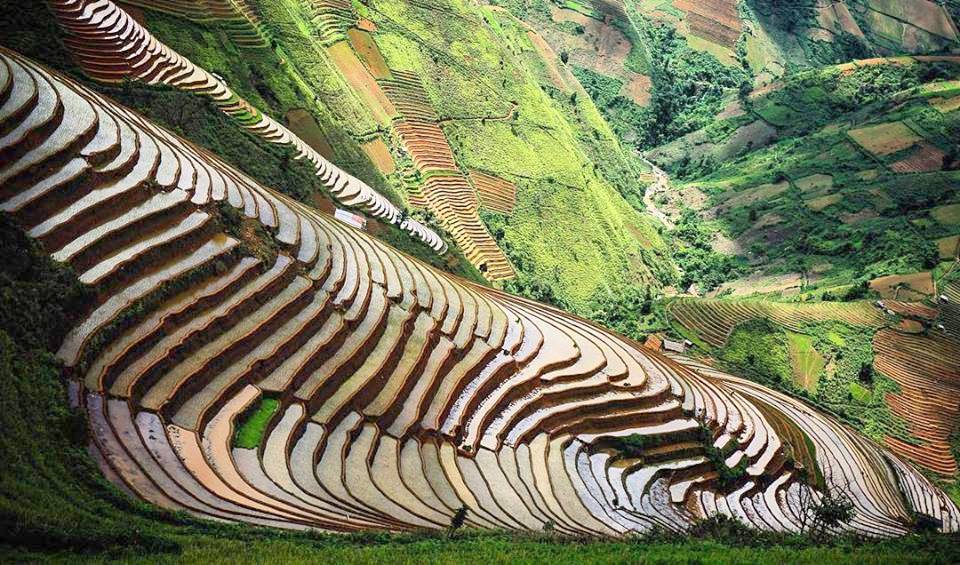Admiring picturesque rice terraces in Mu Cang Chai