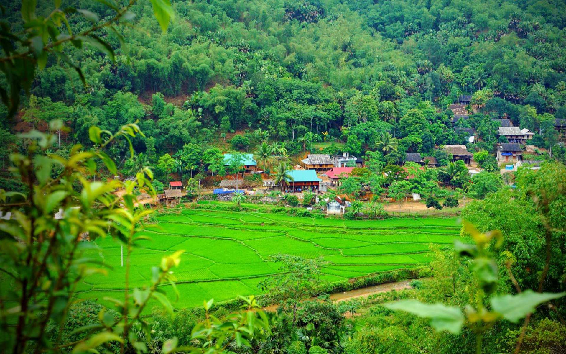 Pom Coong Village (Mai Chau)