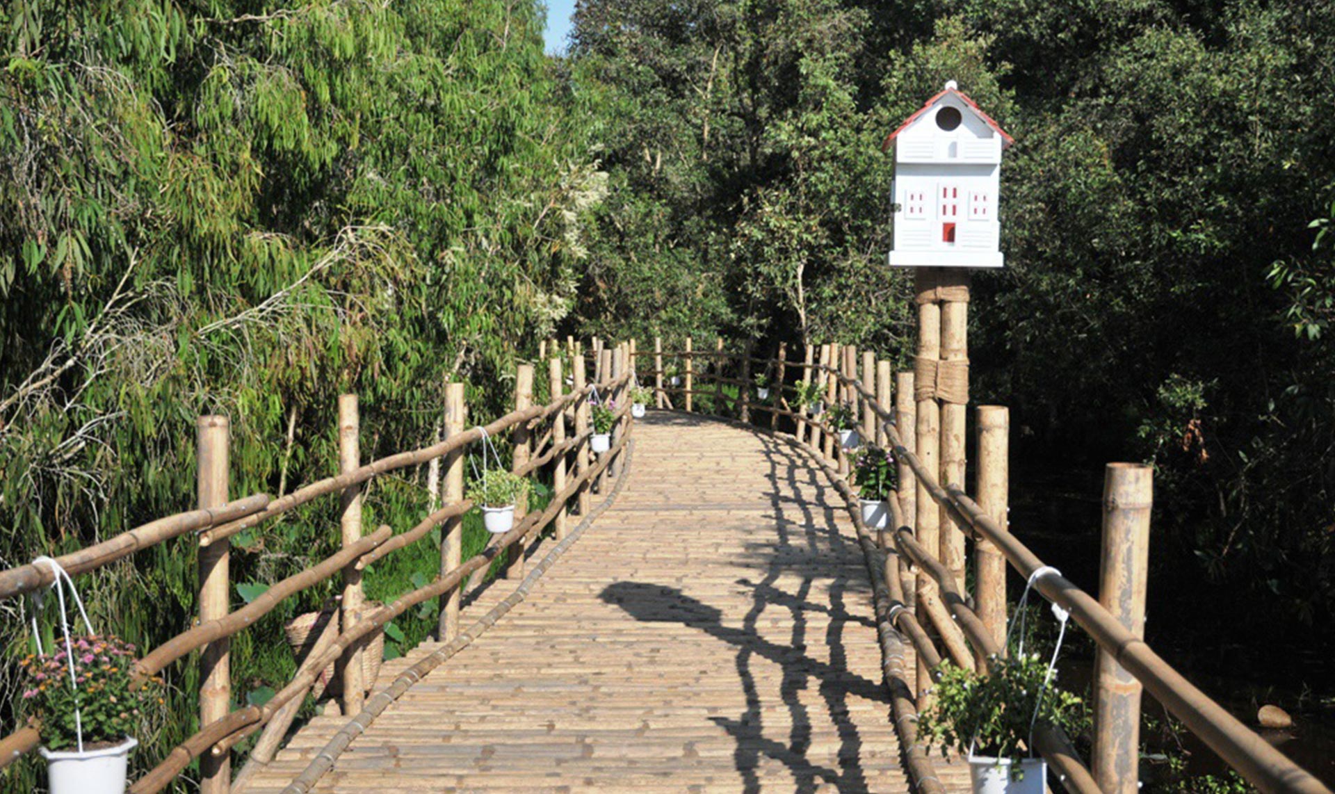 Tra Su bamboo bridge is made by bamboo