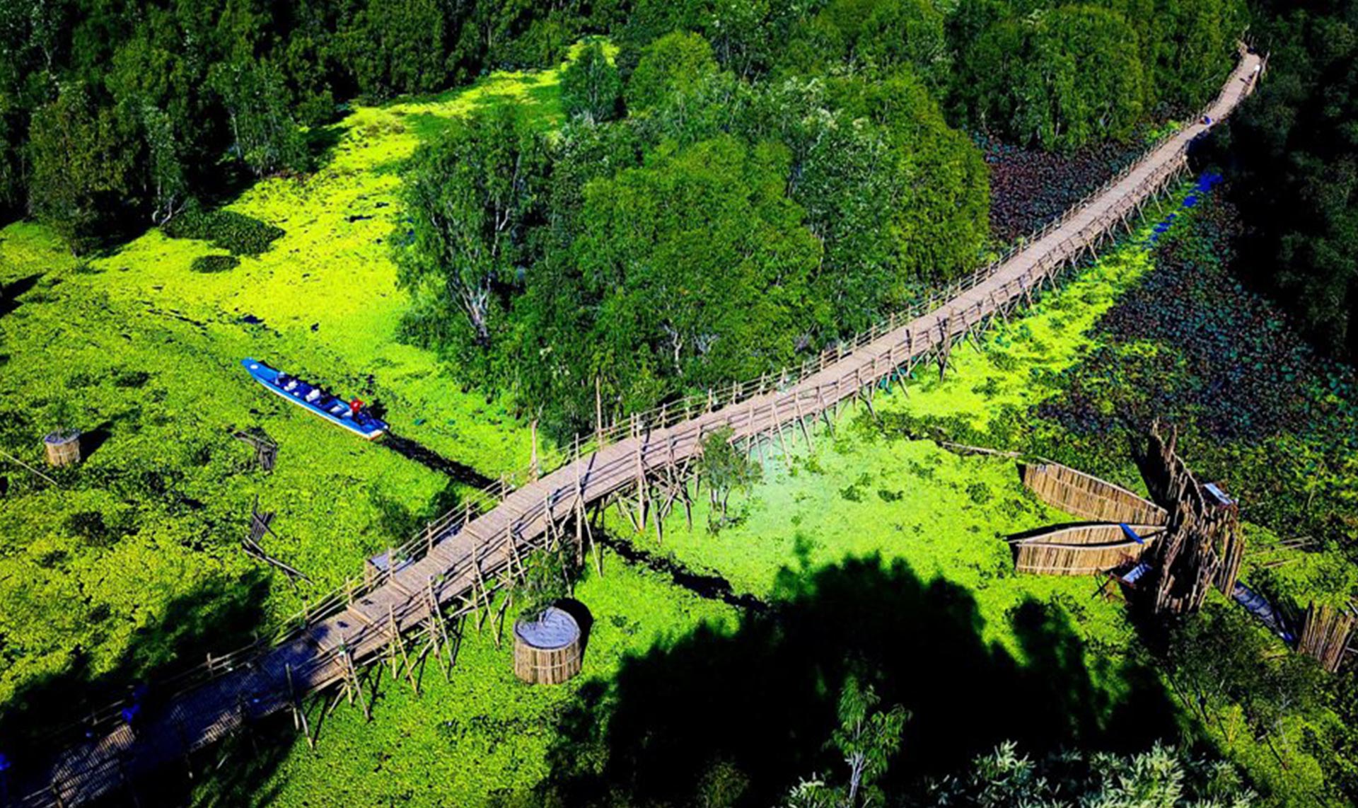Tra Su bamboo bridge - longest bamboo bridge of the world