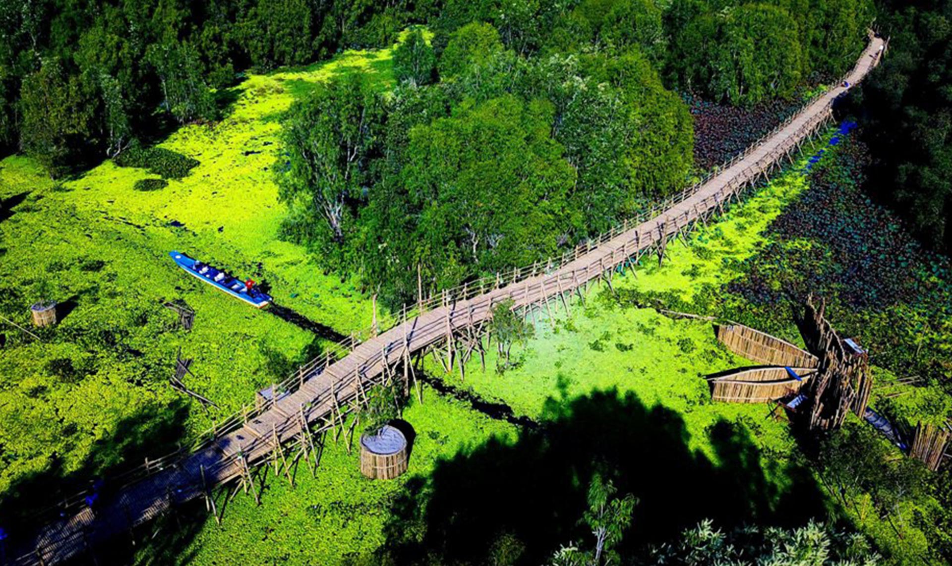 Tra Su bamboo bridge from above