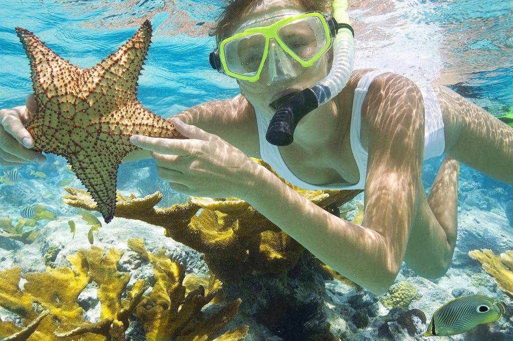 Snorkeling in nam du