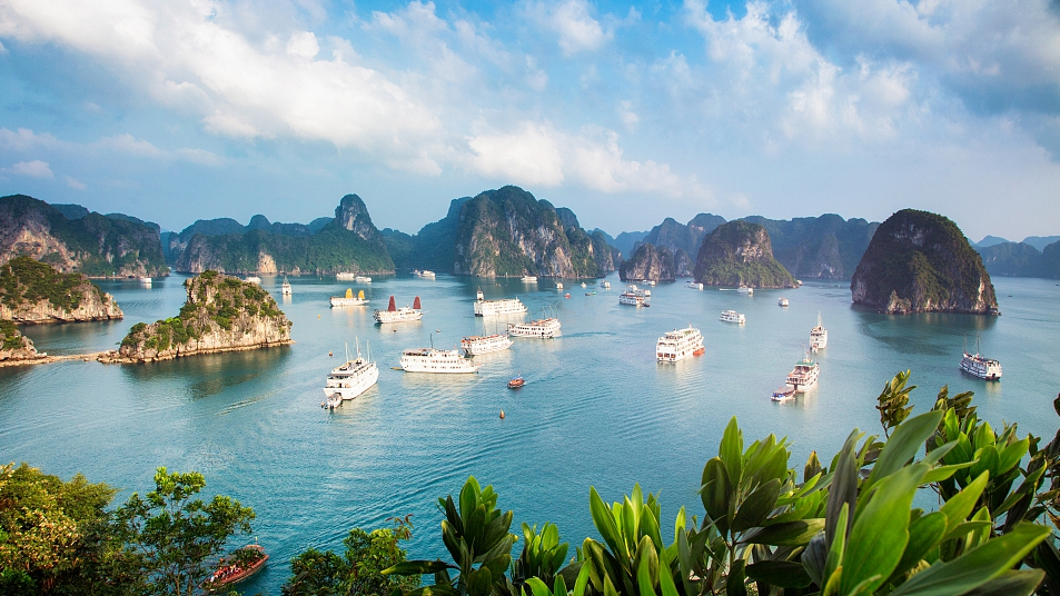 Vietnam Tourism: Where to Go, What to See, and How to Plan Your Trip