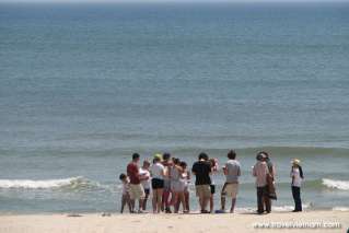 Tourists admire endless sea