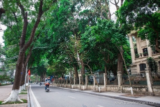 A road shaded with green trees on the lake shore