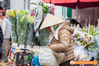 Peach Blossom TET 2016