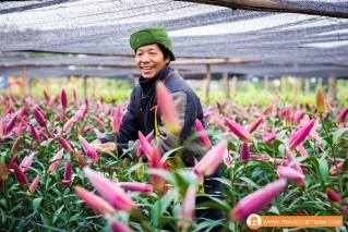        Hanoi