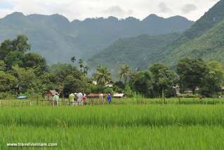 Majestic and beautiful Mai Chau