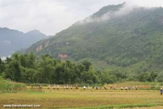 Small people among majestic mountains and forests