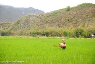 Mai Chau