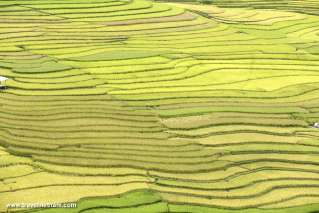 Picturesque view in Mu Cang Chai