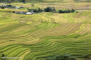 Mu Cang Chai, Vietnam