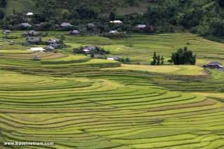 Mu Cang Chai, Vietnam