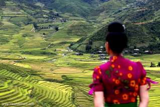 Majestic view of Mu Cang Chai