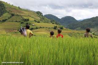 People and nature in Mu Cang Chai