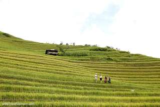 Terrace fields from below