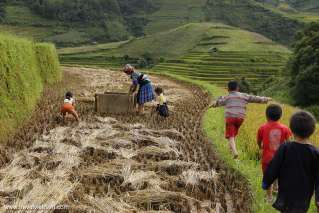 Mu Cang Chai, Vietnam