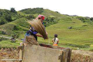 Mu Cang Chai, Vietnam