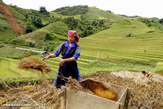 Mu Cang Chai, Vietnam