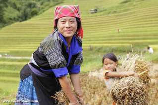 Mu Cang Chai, Vietnam