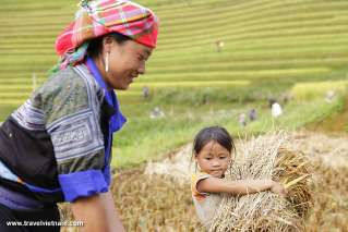 Mu Cang Chai, Vietnam