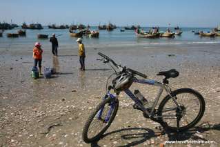 Biking on the beach