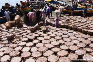 Fishing market in Mui Ne