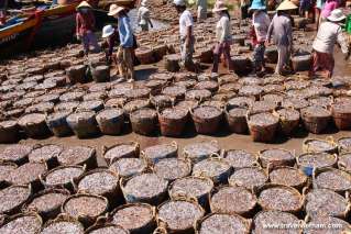 Fishing market in Mui Ne