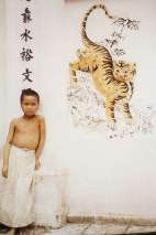The boy stands in front of the tiger relief at the Vinh Thuy Temple. The tiger relief shows that this temple worships deities.