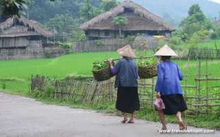 Simple Northern Vietnam