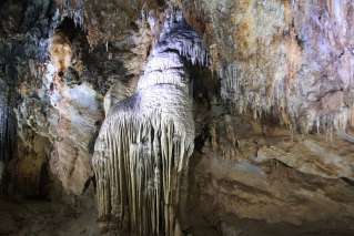 An unique shape of stalactite in Paradise Cave