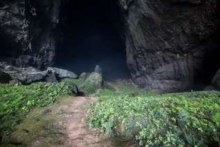 The trail leads to inside of the cave