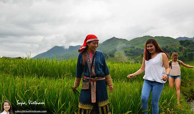 Visitors trekking through rice paddies in Sapa