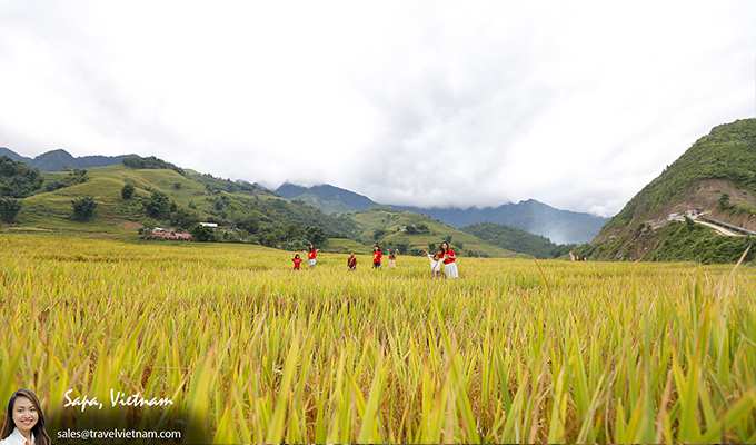 Sapa in September4