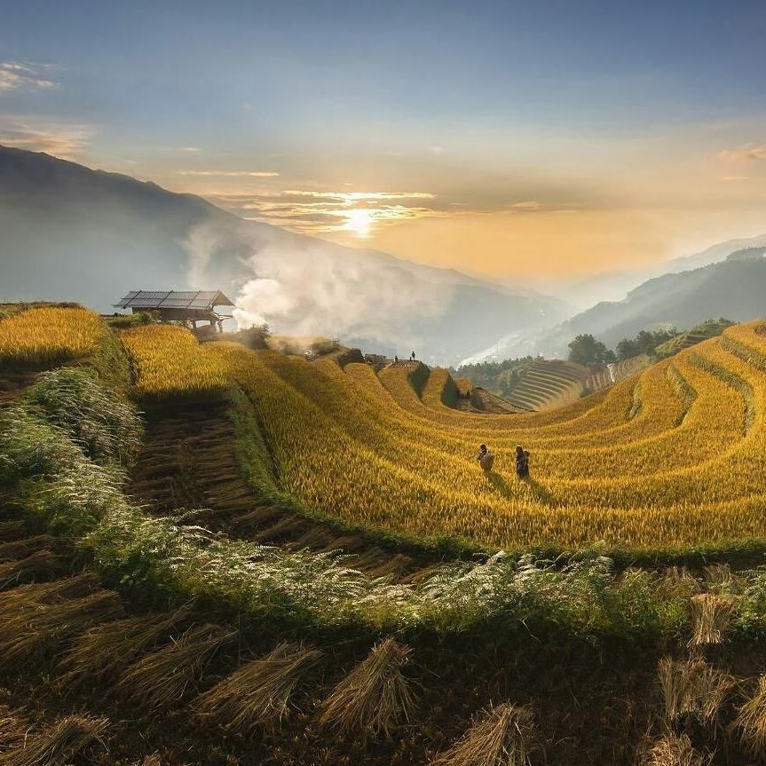 A beautiful sunset over a tranquil rice terrace in Vietnam