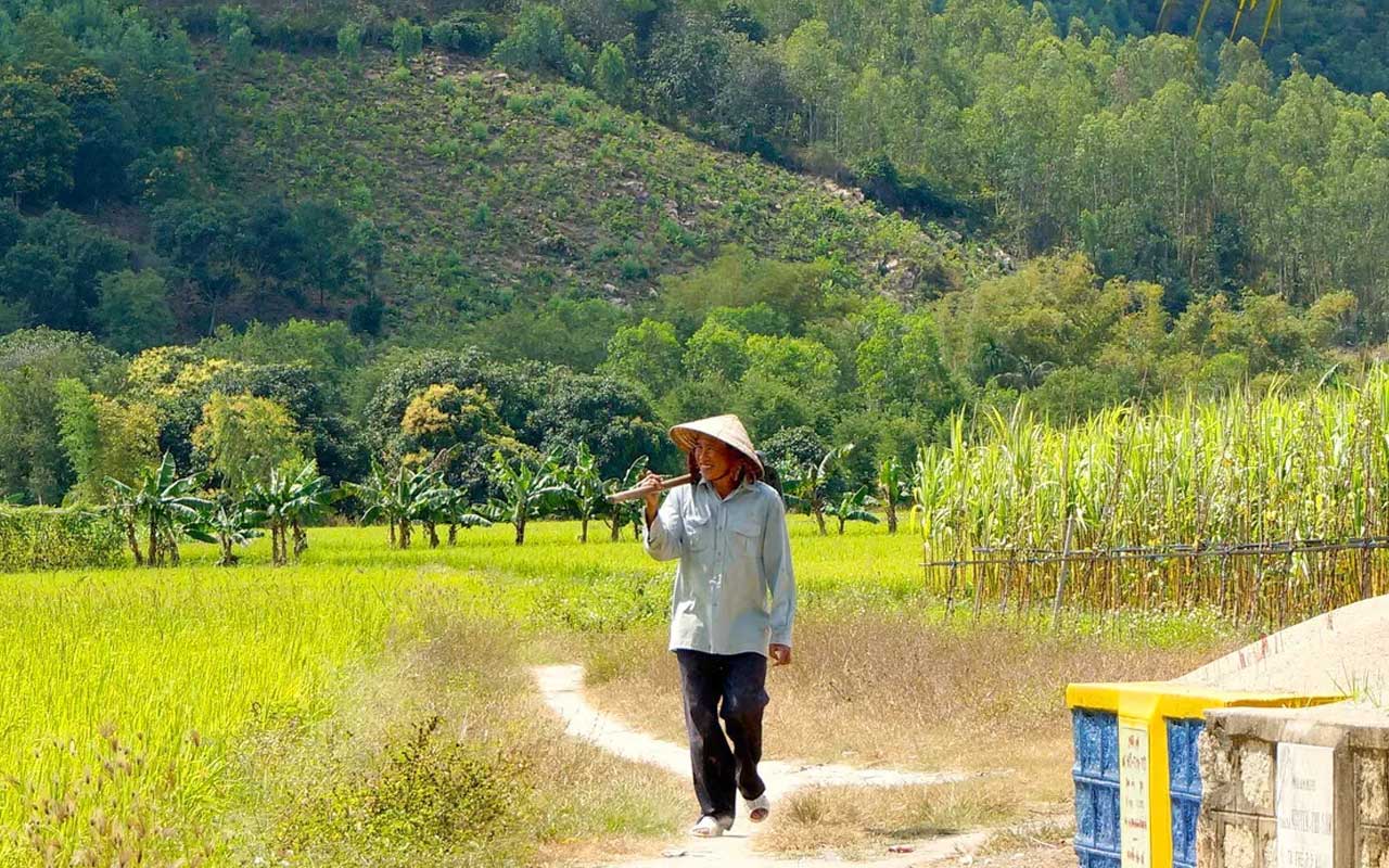 Visit the vast rice fields and witness the day to day lives of local farmers