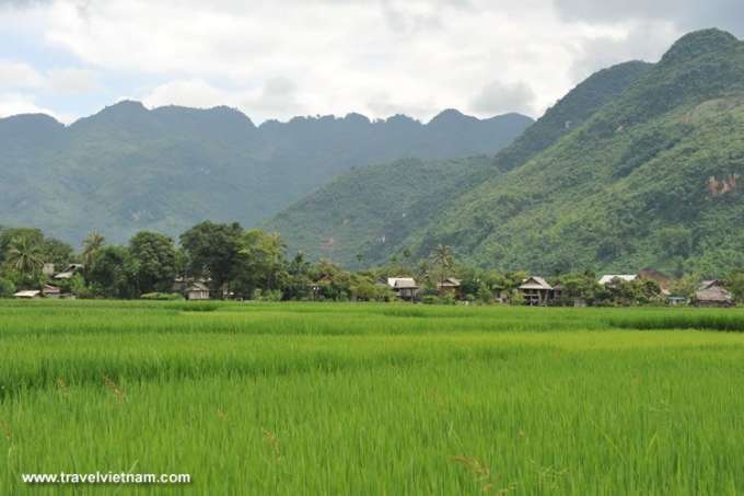 Peaceful Mai Chau villages on the rice fields side